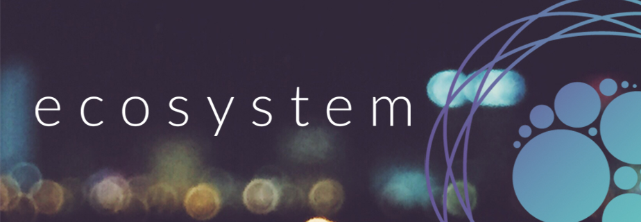 Ecosystem-banner-for-web11